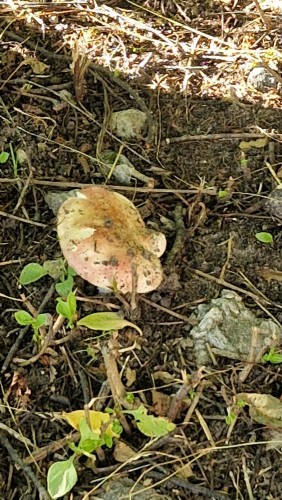 20260630_190239.jpg