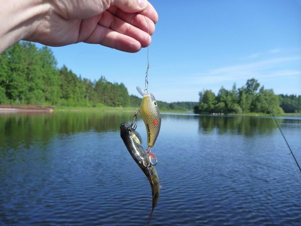 Ну и вот такой нюанс на по следок...