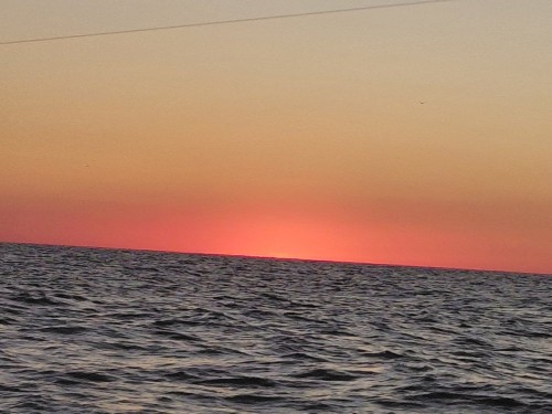 20260718_042718.jpg
