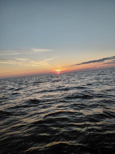 20260822_054813.jpg