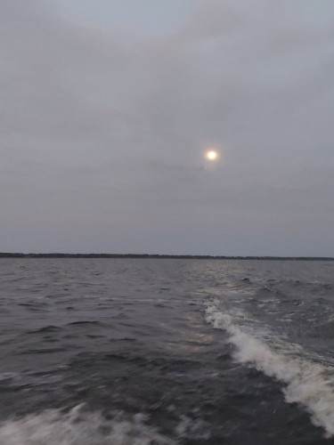 20260829_053658.jpg