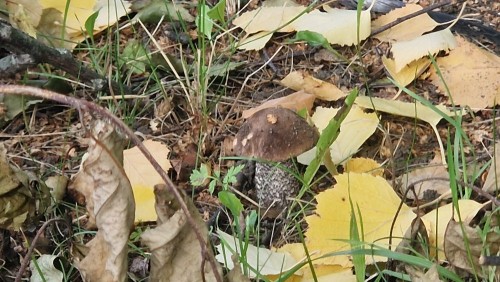 20260906_132553.jpg