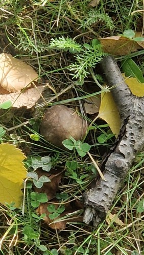 20260911_163513.jpg