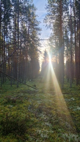 20260912_080113.jpg
