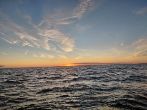 20260912_063255.jpg