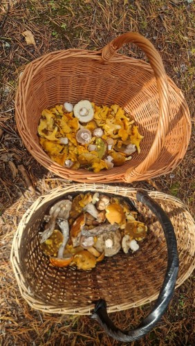 20260919_113845.jpg