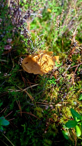 20260920_122000.jpg