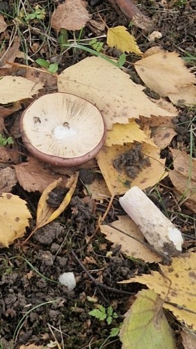 20260924_144806.jpg