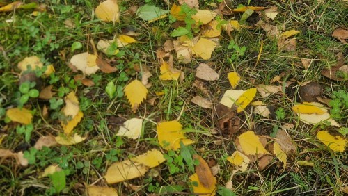 20260925_143520.jpg