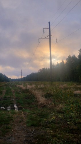 20260926_080959.jpg
