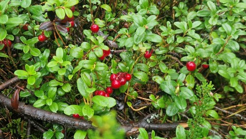 20260926_091440.jpg