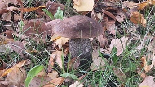 20260929_160718.jpg