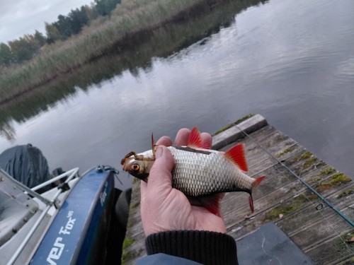 20261004_070610.jpg