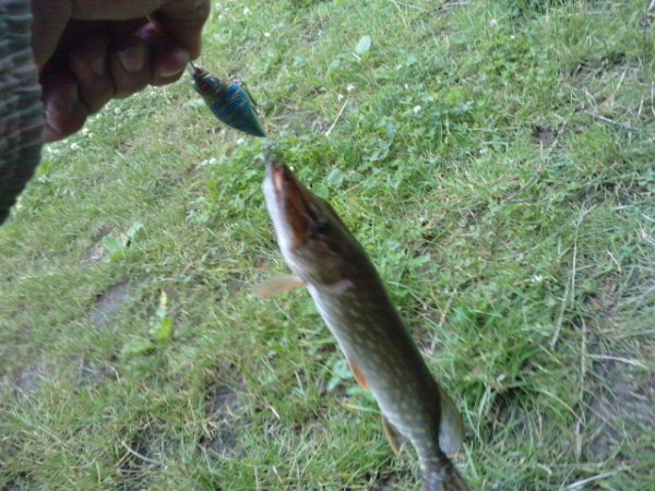 P040711_14.450001 (600 x 450).jpg