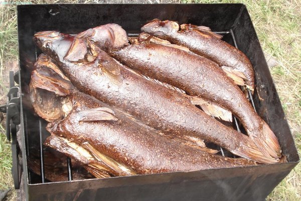 судак копченый 6-10.07.JPG