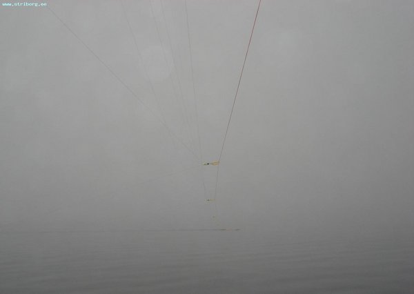 утро 07.07.11 туман судак клевал.JPG