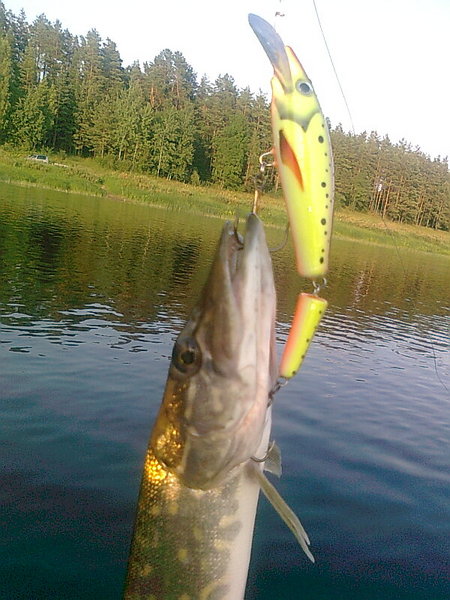 Изображение 1409.jpg