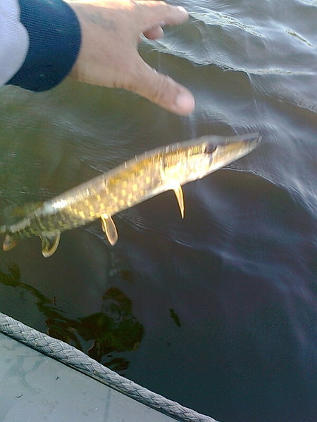 Изображение 1415.jpg