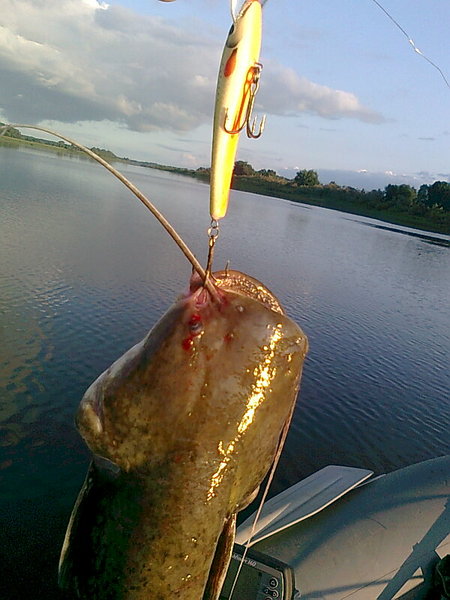 Изображение 1418.jpg