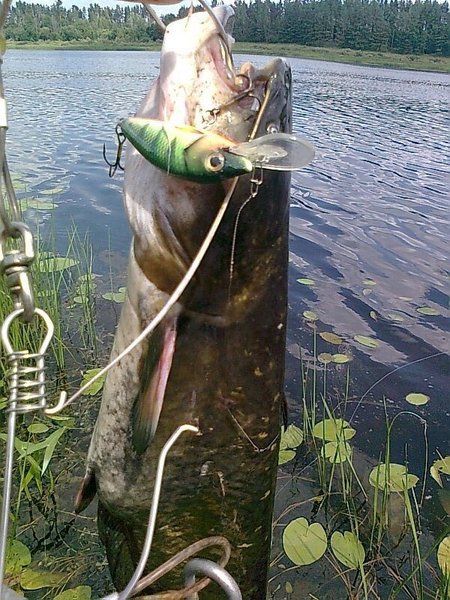 Изображение 1269.jpg