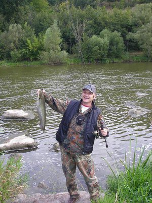 были и сомики