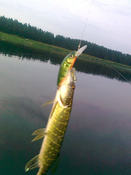 Изображение 1425.jpg