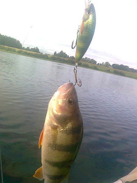 Изображение 1436.jpg