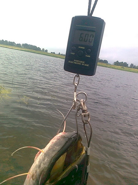 Изображение 1441.jpg