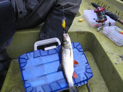 Изображение 293.jpg