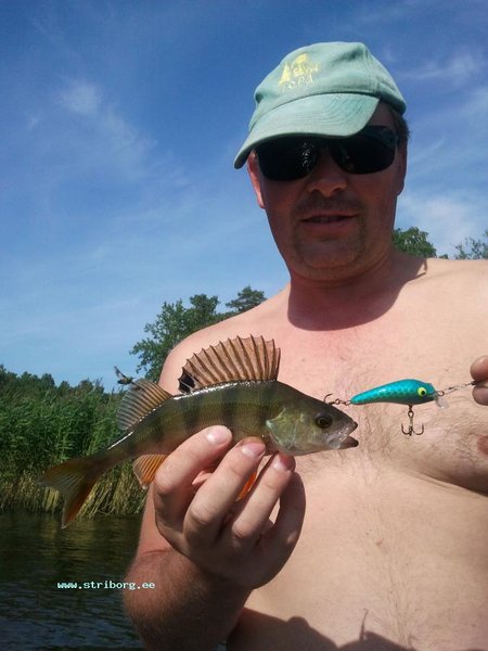 В шкерах побросали....