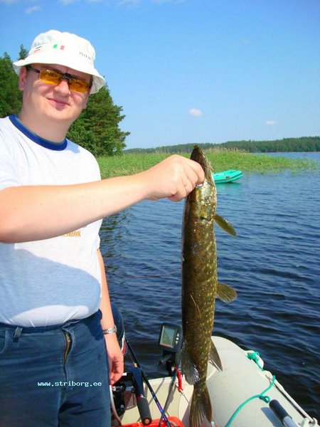 DSC02938.JPG (82.02 КБ) 11210 просмотров Первая. Хапнула у самой лодки у Бориса, но не засеклась. Мой второй заброс в эту точку, ЕСТЬ.