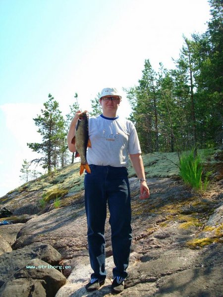 DSC02940.JPG (120.84 КБ) 11210 просмотров Язик на красивом острове Hortikka