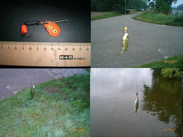 я такое и на удочку-то не помню когда ловил