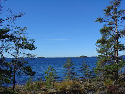 DSC01316.jpg (133.82 КБ) 12083 просмотра Половил в доль острова. Ни поклевки, хотя эхолот показывал рыбу. Решил размять ноги и высодился на остров. Прошел по нему в поисках грибов. Вышел на противоположную сторону и увидел Саиму во всей красе.