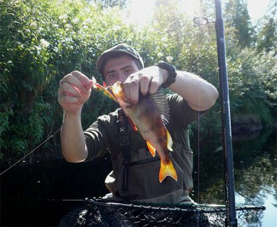 этот воблер принес кучу окуней