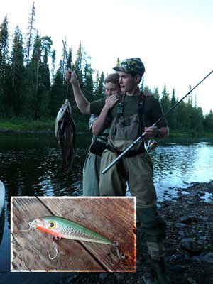 хариус хорошо шел на "малька" с фольгой