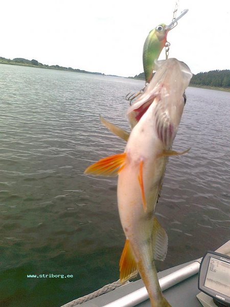 Изображение 1491.jpg