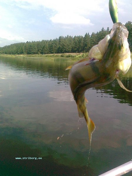 Изображение 1474.jpg