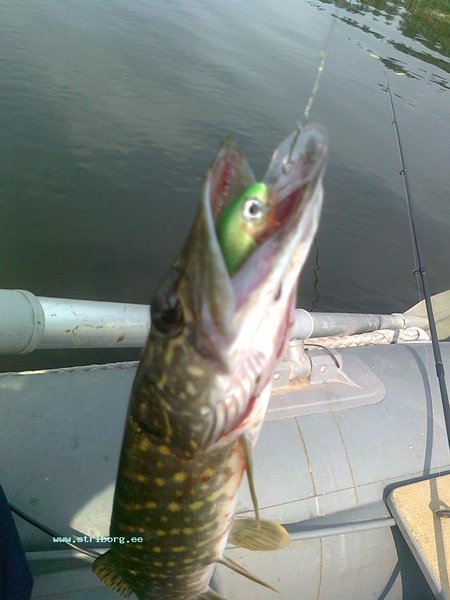 Изображение 1488.jpg