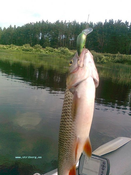 Изображение 1470.jpg