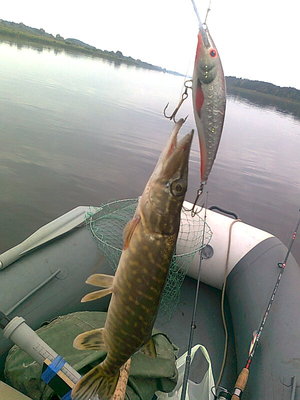 Изображение 701.jpg