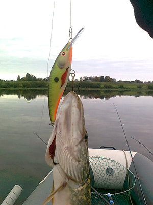 Изображение 704.jpg