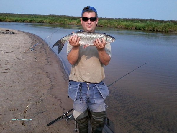 Фото0017.jpg (112.56 КБ) 3017 просмотров Фото уже сделано на берегу