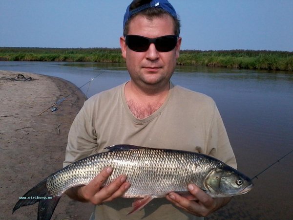 Фото0018.jpg (111.43 КБ) 3017 просмотров Фото уже сделано на берегу