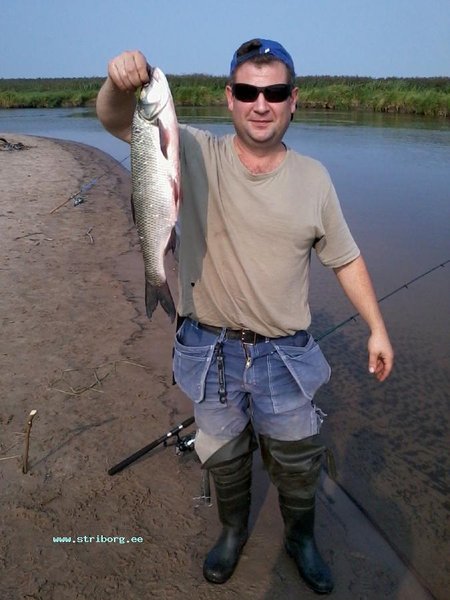 Фото0019.jpg (73.52 КБ) 3017 просмотров Фото уже сделано на берегу