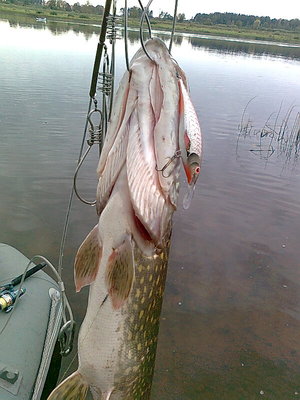 какаято она тута маленькая...