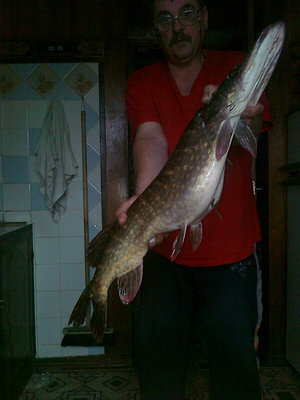 вот тут она посолидней высмотрит...