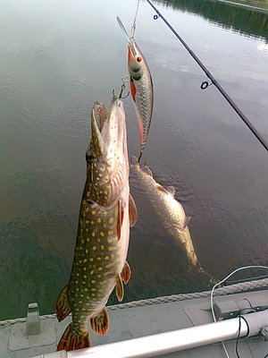 Изображение 717.jpg