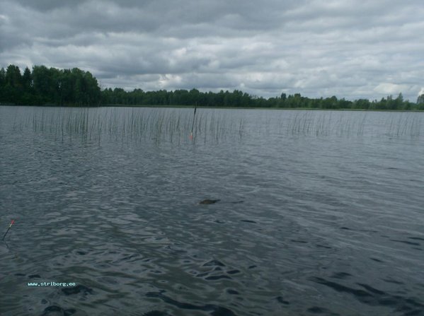 009.JPG