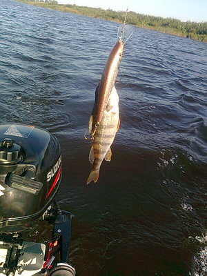 Изображение 732.jpg